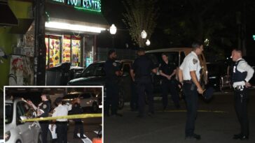 at-least-4-shot-across-nyc-–-including-man-killed,-woman-struck-by-stray-bullet-–-in-flare-up-of-overnight-violence:-cops,-sources