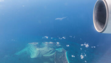 four-florida-family-members-dead-after-small-plane-goes-down-near-bahamas