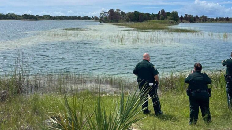 massive-alligator-attacks-young-swimmer-in-nature-preserve-despite-posted-warning