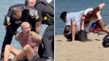 wild-brawl-breaks-out-on-california-beach-as-martial-artist-describes-violent-dust-up:-‘ran-into-the-wrong-person’