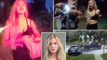 drunk-florida-driver-crashes-into-parked-car,-punches-owner-—-tells-cops-‘i-thought-we-were-friends’