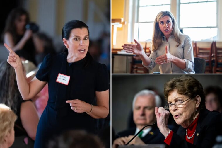 sen.-jeanne-shaheen’s-daughter-stefany-wins-nasty-primary-for-new-hampshire-house-seat