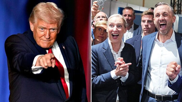 trump-hails-‘really-big-night’-for-populists-in-german-election-after-historic-victory