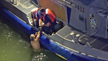 dramatic-video-shows-naked-man-being-pulled-from-east-river-by-nyc-cops