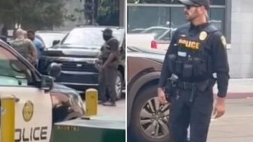 dramatic-moment-ice-agents-snare-college-student-in-california-before-friend-hides-from-them-on-campus