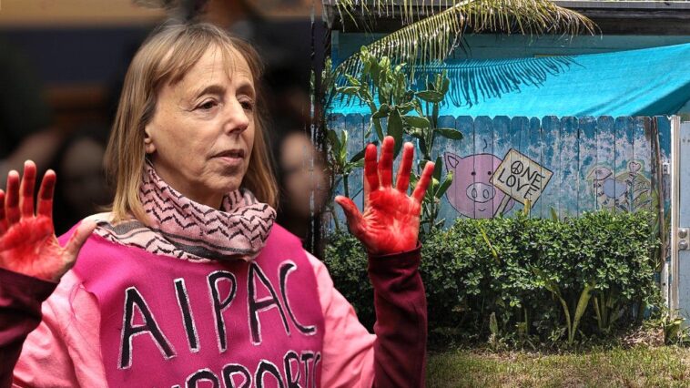 $54m-codepink-linked-foundation-shut-down-in-california-pops-up-at-ramshackle-miami-home