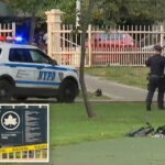 maniac-beats-man-to-death-with-two-by-four-in-nyc-park:-sources