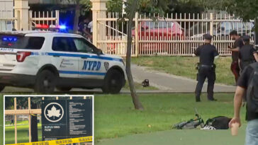 maniac-beats-man-to-death-with-two-by-four-in-nyc-park:-sources
