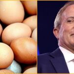 another-paxton-win:-ken-paxton-announces-7-million-free-eggs-will-be-distributed-to-struggling-texas-families-following-trump-doj-and-state’s-antitrust-crackdown