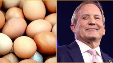 another-paxton-win:-ken-paxton-announces-7-million-free-eggs-will-be-distributed-to-struggling-texas-families-following-trump-doj-and-state’s-antitrust-crackdown