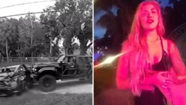 “why-are-you-doing-this…i-thought-we-were-all-friends”-allegedly-drunk-woman-crashes-into-parked-car,-slugs-owner,-and-proceeds-to-embarrass-herself-in-front-of-cops-(video)