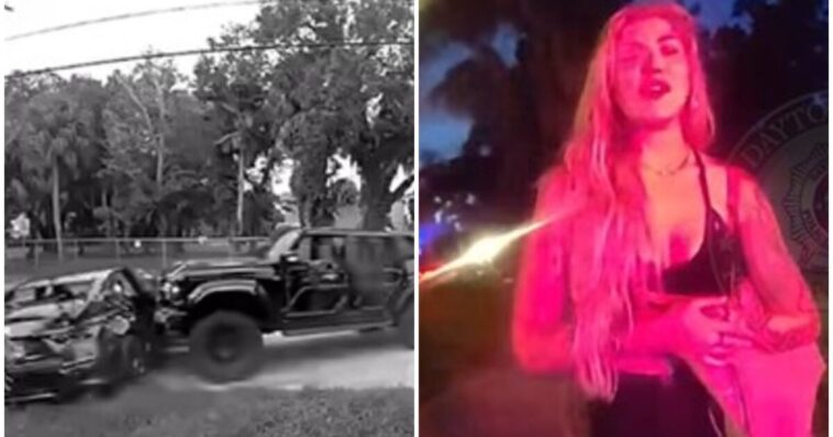 “why-are-you-doing-this…i-thought-we-were-all-friends”-allegedly-drunk-woman-crashes-into-parked-car,-slugs-owner,-and-proceeds-to-embarrass-herself-in-front-of-cops-(video)