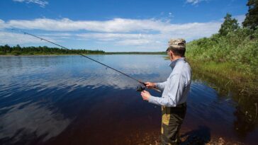 bear-tries-to-steal-one-too-many-fish-off-of-fisherman’s-line,-gets-charged-at-with-pole-in-hand