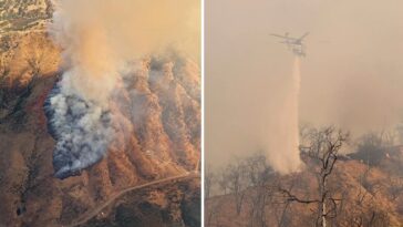 napa-valley-wildfire-near-wine-country-resort-triggers-evacuation-warning