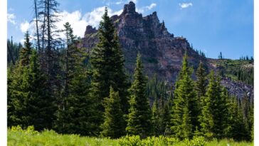 climber-dies-scaling-colorado-mountain,-retrieval-tech-deployed-after-fall-deemed-‘not-survivable’