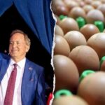 texas-attorney-general-ken-paxton-announces-distribution-of-more-than-7-million-free-eggs-statewide