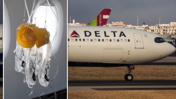 delta-plane-plunges-27,000-feet-in-10-minutes-as-oxygen-masks-suddenly-drop-aboard-flight