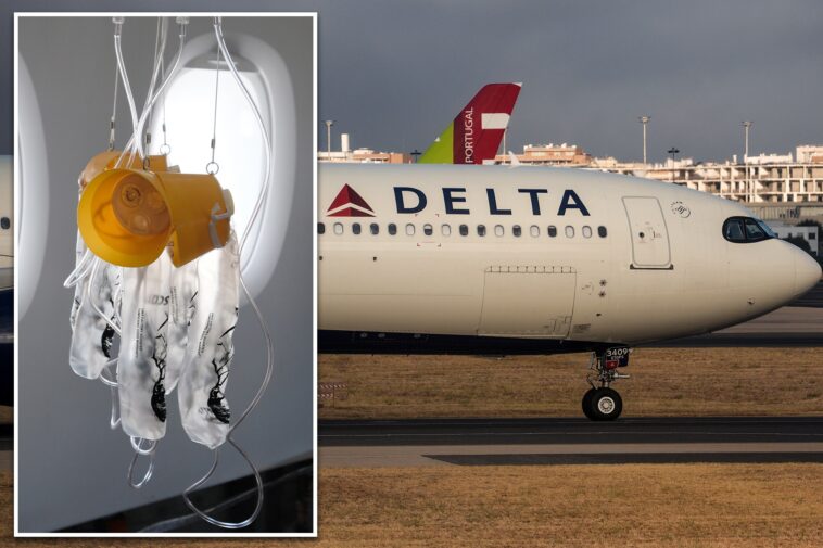 delta-plane-plunges-27,000-feet-in-10-minutes-as-oxygen-masks-suddenly-drop-aboard-flight