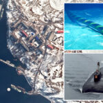 us,-nato-allies-foil-russian-subsea-cable-sabotage-plot
