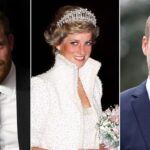 prince-harry’s-rumored-diana-film-‘might-feel-like-another-betrayal’-to-prince-william-as-rift-grows:-expert