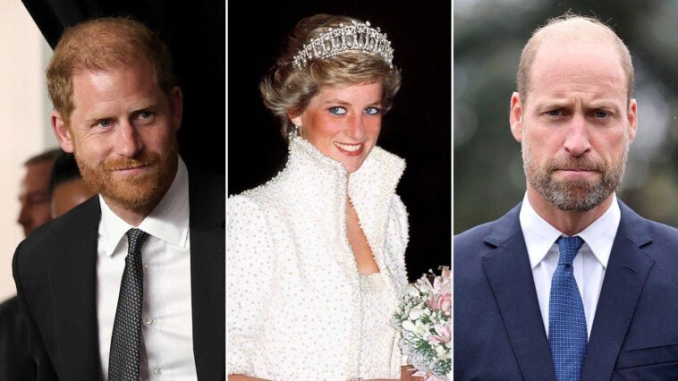 prince-harry’s-rumored-diana-film-‘might-feel-like-another-betrayal’-to-prince-william-as-rift-grows:-expert