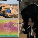 august-was-earth’s-hottest-month-on-record,-scientists-say