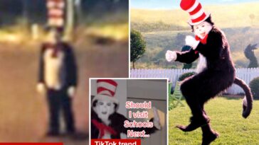 ‘cat-in-the-hat’-creep-chased-down-teenage-girl-—-as-cops-issue-threat-over-‘concerning-prank’