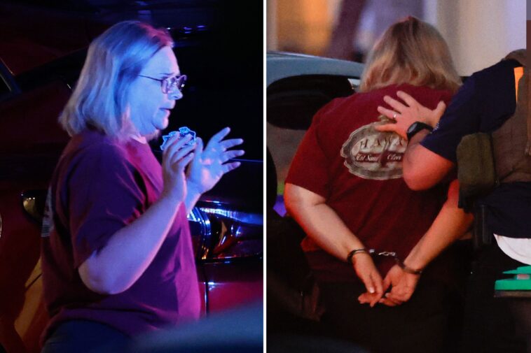 orange-county-football-mom-who-stole-$411,000-from-high-school-team-busted-in-fbi-raid 