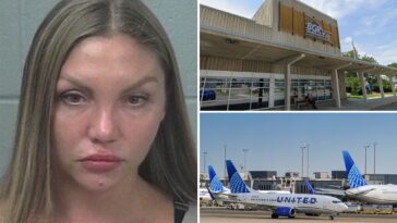 drunk-russian-passenger-on-way-to-ny-bit-flight-attendant-who-wouldn’t-serve-more-booze:-affidavit