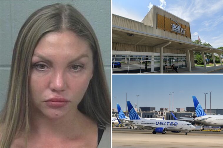 drunk-russian-passenger-on-way-to-ny-bit-flight-attendant-who-wouldn’t-serve-more-booze:-affidavit
