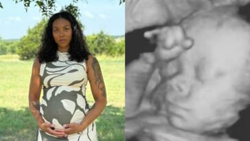 surrogate-who-refused-abortion-takes-nasty-custody-battle-to-supreme-court