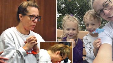massachusetts-mom-accused-of-murdering-2-kids-then-fleeing-state-makes-shocking-request-to-be-freed