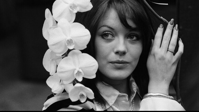 british-actress-lesley-anne-down-traded-in-la’s-fires-and-political-leanings-for-a-life-in-georgia