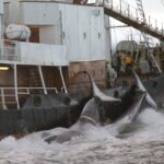 iceland-to-propose-whaling-ban,-leaving-norway-and-japan-as-last-two-countries-to-continue