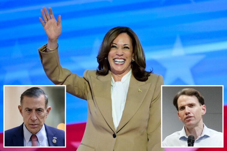 kamala-harris-faces-first-big-test-for-presidential-run-as-she-explodes-back-on-to-political-stage