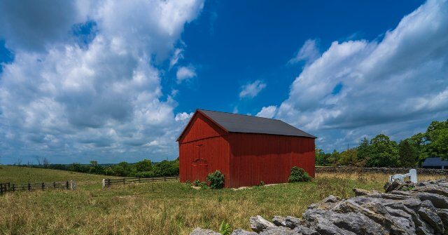 ‘honor-our-farming-families’:-kentucky-county-permanently-bans-ai-data-centers