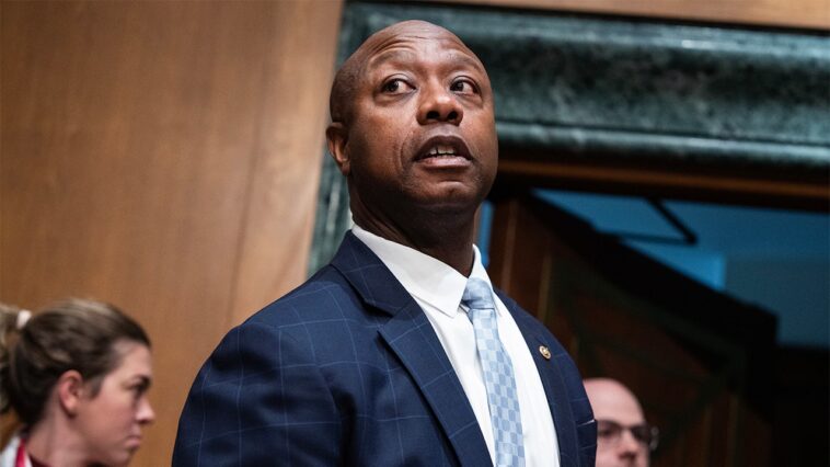 ‘morning-joe’-hosts-do-a-mock-prayer-for-tim-scott-after-‘really-weird’-speech-at-midterm-convention