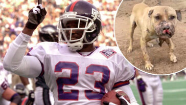 ex-nfler-leshon-johnson-sentenced-to-five-years-for-dog-fighting-operation