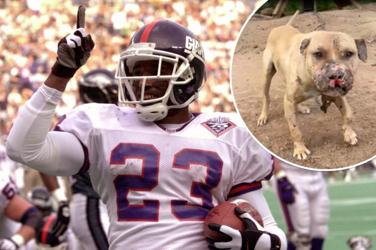 ex-nfler-leshon-johnson-sentenced-to-five-years-for-dog-fighting-operation