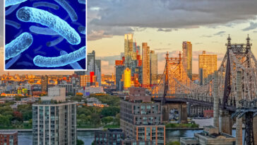 legionnaires’-disease-rips-through-south-bronx,-killing-1-and-sickening-5-others-in-latest-outbreak-to-grip-nyc
