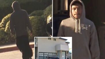 wild-twist-as-victim-of-hollywood-hills-home-invasion-unmasked-as-squatter