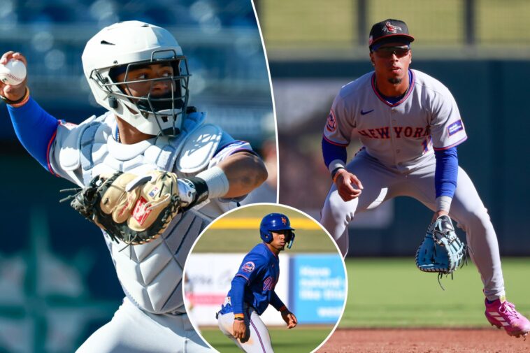 what-makes-mets-prospect-chris-suero-so-unique-and-sets-up-fascinating-offseason:-‘very-difficult-to-come-by’