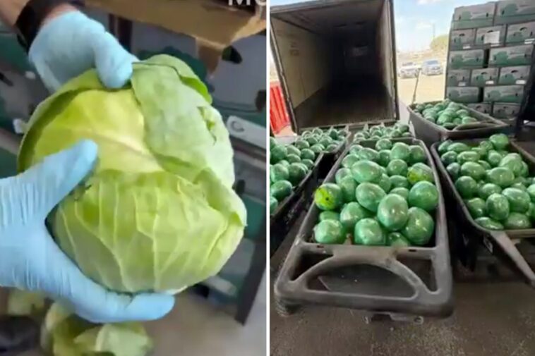 2,000-pounds-of-meth-stuffed-in-cabbage-found-at-us-mexico-border