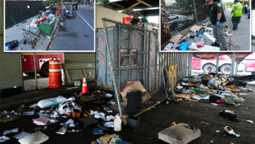 homeless-woman-tries-to-torch-$250k-mercedes-as-new-nyc-camp-turns-‘dangerous’:-business-owner
