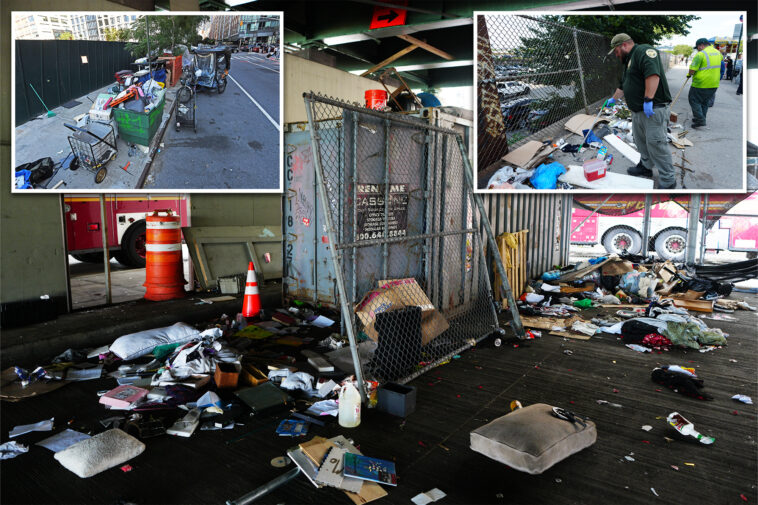 homeless-woman-tries-to-torch-$250k-mercedes-as-new-nyc-camp-turns-‘dangerous’:-business-owner