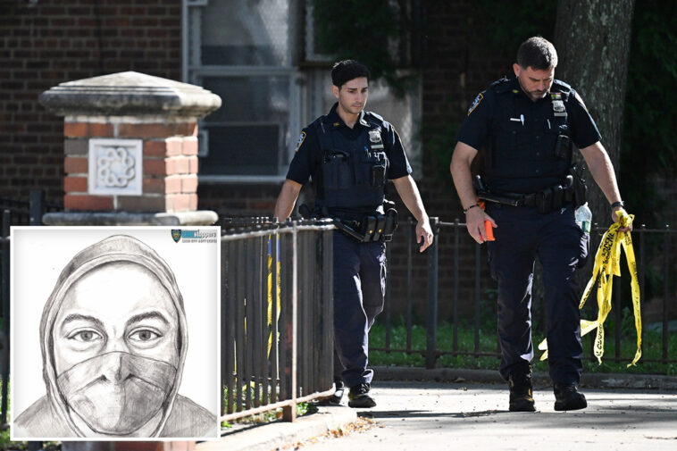 masked-strangerrapes-woman-making-delivery,-hits-her-with-gun-in-nyc-attack:-sources