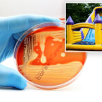 bouncy-castle-‘superbug’-outbreak-sickened-48-kids,-sent-15-to-hospital,-report-reveals