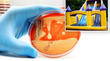 bouncy-castle-‘superbug’-outbreak-sickened-48-kids,-sent-15-to-hospital,-report-reveals