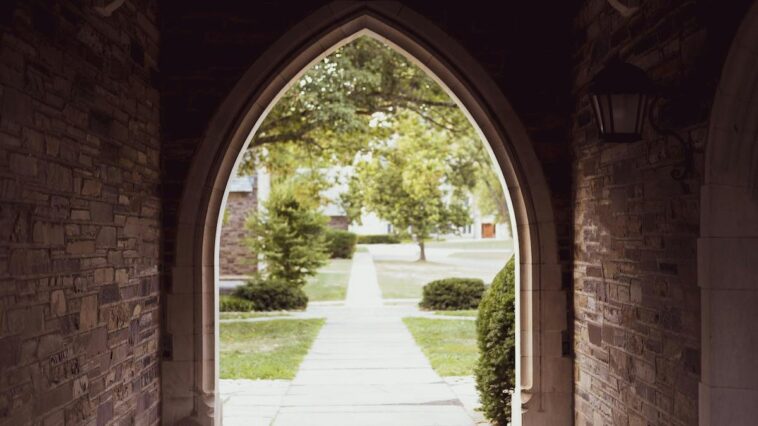 why-western-higher-education-deserves-to-fail-—-and-how-to-save-it