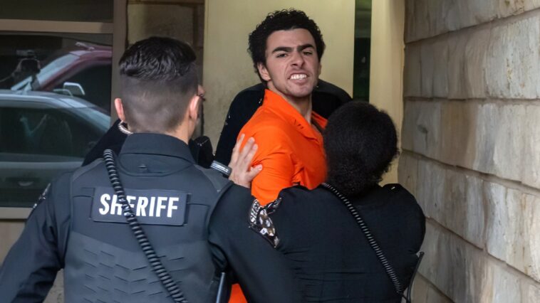 new-york-city-council-pushes-bill-to-take-press-passes-away-from-‘mangionistas’